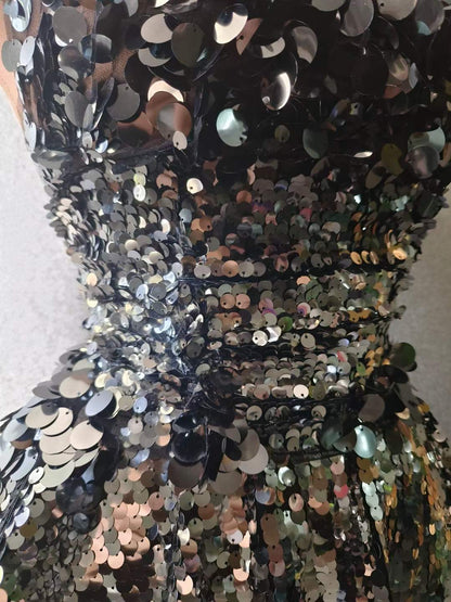 Silver Shillings Dress