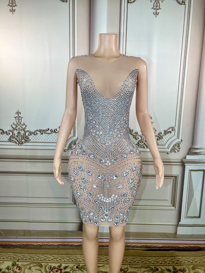 Lycra Non See-Through Crystal Scatter Dress Clear and Silver Delayed 5 days